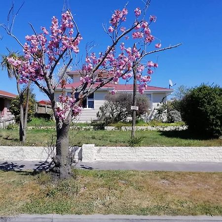 Homestay Family Room, Near The City Center Крайстчърч Екстериор снимка